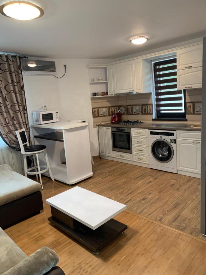 Apartament Micsunelelor Cu Parcare Privata ヤシ エクステリア 写真